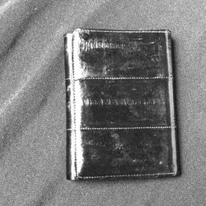 Eel skin wallet